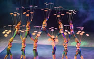 Acrobatics Show
