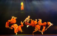 Kung Fu Show