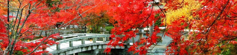 Beijing Xiangshan Red Leaves Festival Video 