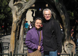 Intertwined trees at Forbidden City