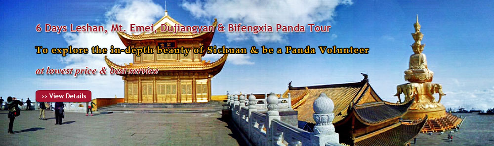 6 Days Leshan, Mt. Emei, Dujiangyan & Bifengxia Panda Tour