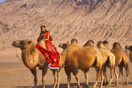 Turpan Camel around Flaming Mountain