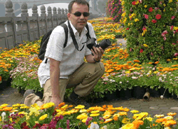Blossom in Jingshan Park