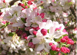 4 Days Beijing Spring Break Vacation