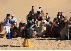 15 Days Mystery of the Silk Road Spring Tour
