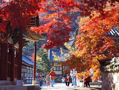 China Autumn Tours