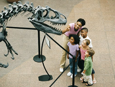 Beijing Museum Tours