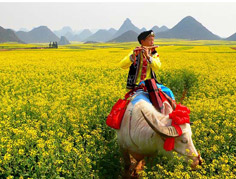 Spring Break Vacation Tours