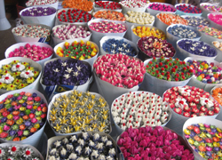 Kunming flowers