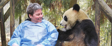 Chengdu Giant Panda