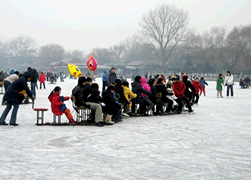 Park Activities in the Park