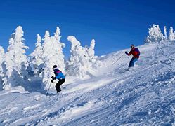 Skiing in the Winter 