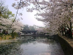 yuantouzhu park 
