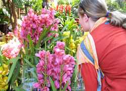 Kunming Flower Market