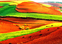 Dongchuan Red Land