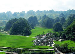 Wan Feng Lin