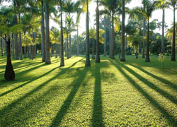 Xishuangbanna Park