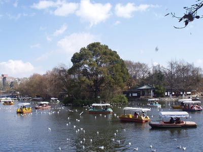 Green Lake