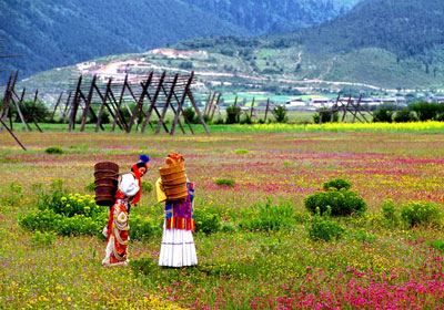 Shangri Spring