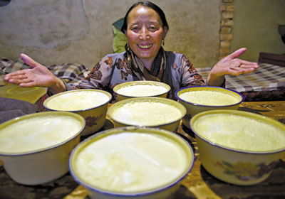 Tibetan Yogurt