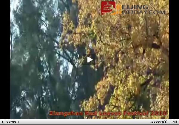 Xiangshan Park Video